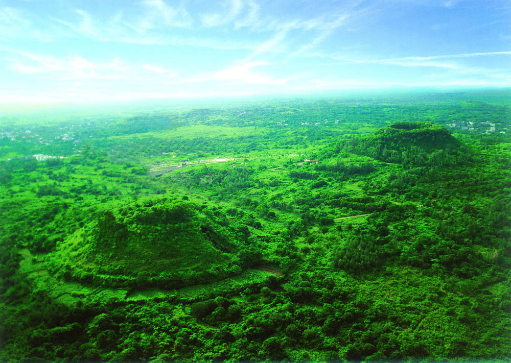 ?？诨鹕娇诠珗@